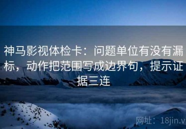 神马影视体检卡：问题单位有没有漏标，动作把范围写成边界句，提示证据三连