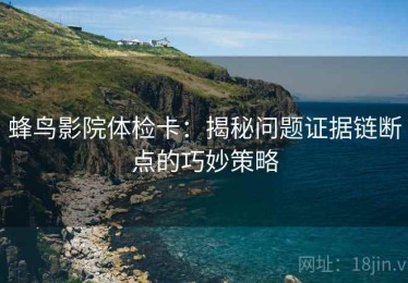 蜂鸟影院体检卡：揭秘问题证据链断点的巧妙策略