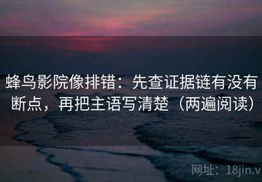 蜂鸟影院像排错：先查证据链有没有断点，再把主语写清楚（两遍阅读）