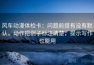 风车动漫体检卡：问题前提有没有默认，动作把例子标注清楚，提示写作也能用