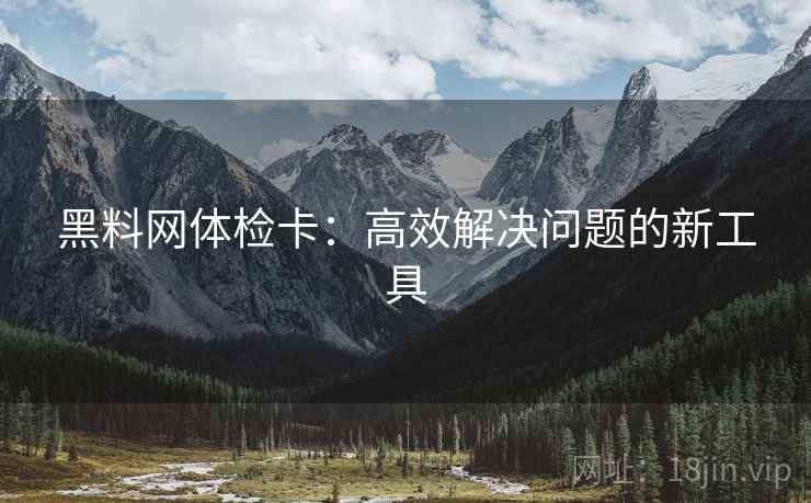 黑料网体检卡：高效解决问题的新工具