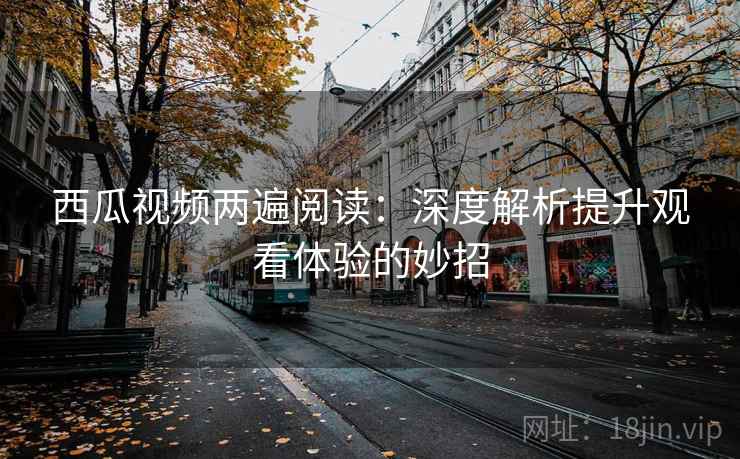 西瓜视频两遍阅读：深度解析提升观看体验的妙招